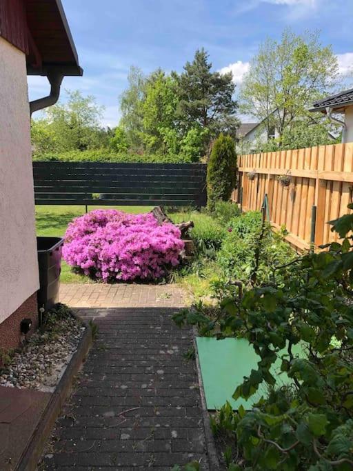 Gemuetlicher In - Sielow * Cottbus